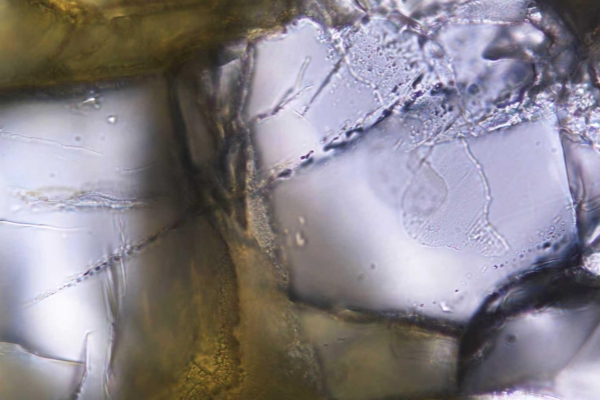 Z6��������ʱ��(�й���)�ٷ���վ